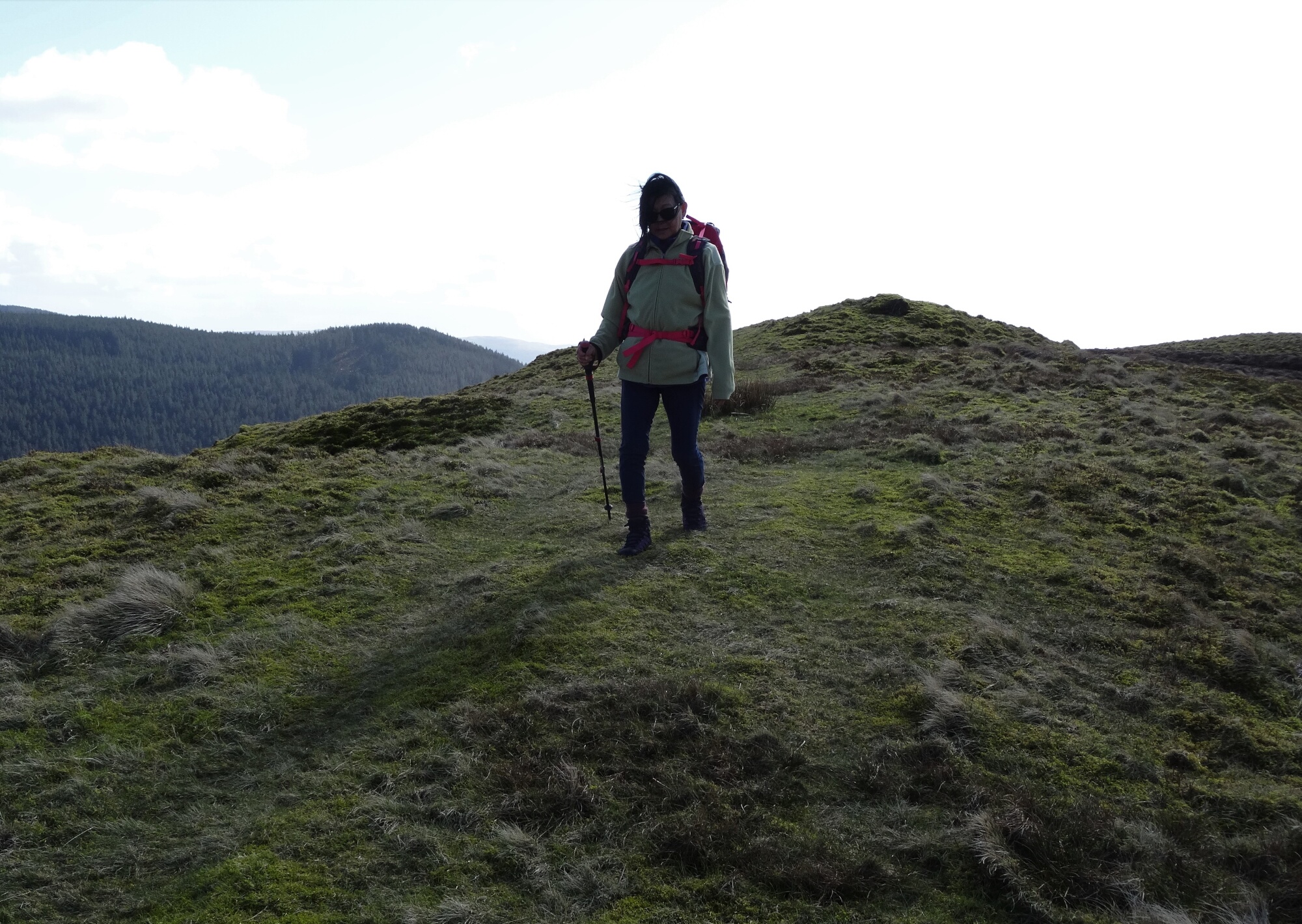 RachelSeabrook.net | Wild Walking | Ponterwyd and Pen Dihewyd | pic31